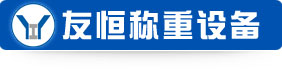 專(zhuān)業(yè)生產(chǎn)電子衡器，電子天平，電子吊秤-杭州友恒稱(chēng)重設(shè)備有限公司